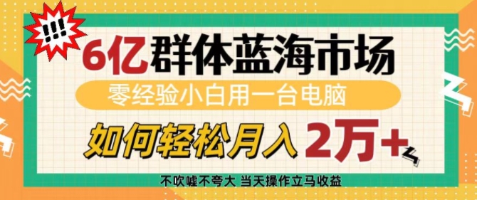 6亿群体蓝海市场，零经验小白用一台电脑，如何轻松月入过w【揭秘】-中创网_专注互联网创业,项目资源整合