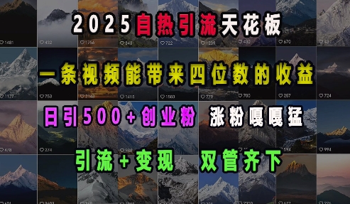 2025自热引流天花板，一条视频能带来四位数的收益，引流+变现双管齐下，日引500+创业粉，涨粉嘎嘎猛-中创网_专注互联网创业,项目资源整合