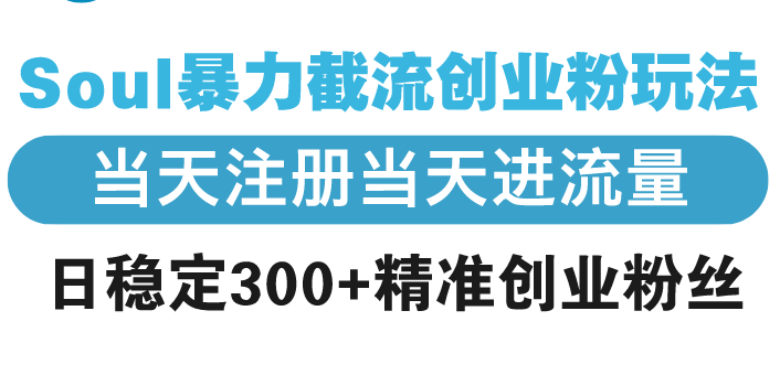 （13935期）Soul暴力截流创业粉玩法，当天注册当天进流量，日稳定300+精准创业粉丝-中创网_专注互联网创业,项目资源整合