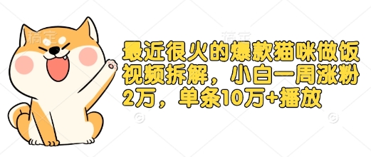 最近很火的爆款猫咪做饭视频拆解，小白一周涨粉2万，单条10万+播放(附保姆级教程)-中创网_专注互联网创业,项目资源整合