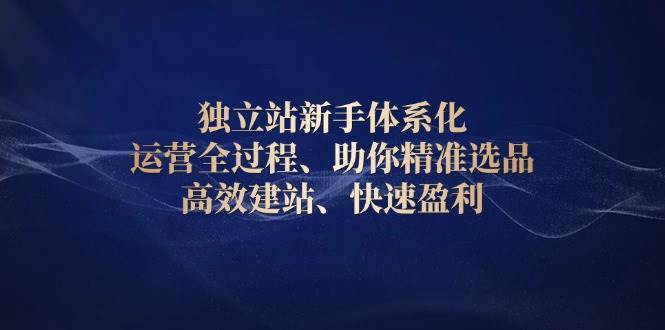 独立站新手体系化 运营全过程，助你精准选品、高效建站、快速盈利-中创网_专注互联网创业,项目资源整合