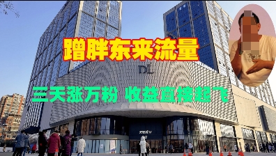 蹭胖东来流量，三天涨万粉，收益直接起飞-中创网_专注互联网创业,项目资源整合