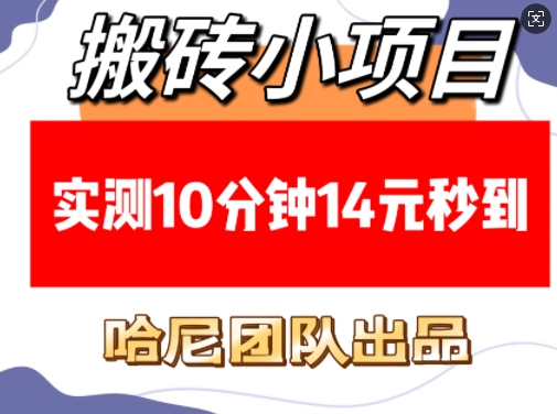 搬砖小项目，实测10分钟14元秒到，每天稳定几张(赠送必看稳定)-中创网_专注互联网创业,项目资源整合