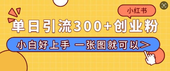小红书单日引流300+创业粉，“简单粗暴”引流法，小白好上手，私信回不完-中创网_专注互联网创业,项目资源整合