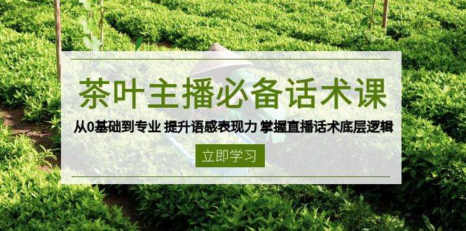 茶网络主播必不可少销售话术课 从0基本到专业 提高英语语感感染力 把握直播带货话术底层思维-中创网_专注互联网创业,项目资源整合