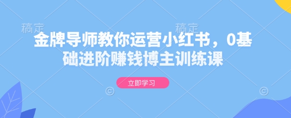 金牌导师教你运营小红书，0基础进阶赚钱博主训练课-中创网_专注互联网创业,项目资源整合