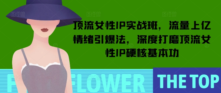 顶流女性IP实战班，流量上亿情绪引爆法，深度打磨顶流女性IP硬核基本功-中创网_专注互联网创业,项目资源整合