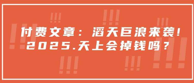 付费文章：狂风巨浪来临！2025天空就掉了钱吗？-中创网_专注互联网创业,项目资源整合