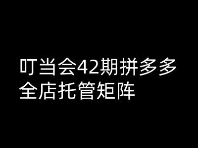 钉铛会拼多多平台打穿班原创设计高级技术性第42期，拼多多平台店铺代管引流矩阵-中创网_专注互联网创业,项目资源整合