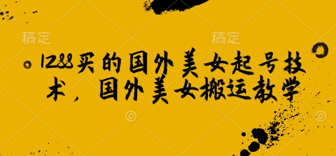 1288买来的国外美女养号技术性，国外美女运送课堂教学-中创网_专注互联网创业,项目资源整合