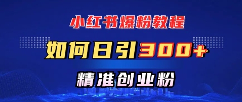 小红书的涨粉实例教程，怎样日引300 自主创业粉，迅速进行精准转现-中创网_专注互联网创业,项目资源整合