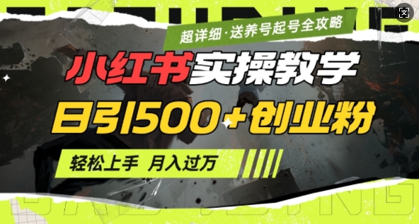 2月小红书最新日引500+创业粉实操教学【超详细】小白轻松上手，月入1W+，附小红书养号起号SOP-中创网_专注互联网创业,项目资源整合