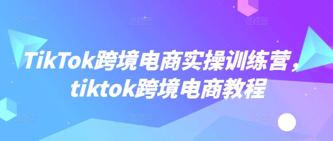 TikTok跨境电子商务实操训练营，tiktok跨境电子商务实例教程-中创网_专注互联网创业,项目资源整合