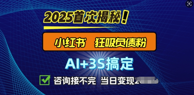 2025引流方法吊顶天花板：全新小红书的狂怒债务粉构思，资询接持续，当日入好几张-中创网_专注互联网创业,项目资源整合