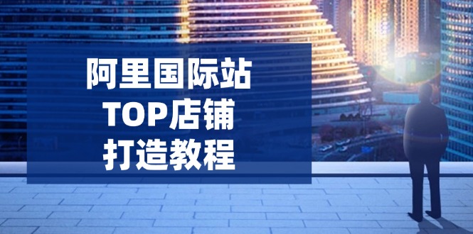 （14269期）阿里巴巴国际TOP店面打造出实例教程：包含服务平台到高级，处理经营困难，提高外贸询盘-中创网_专注互联网创业,项目资源整合