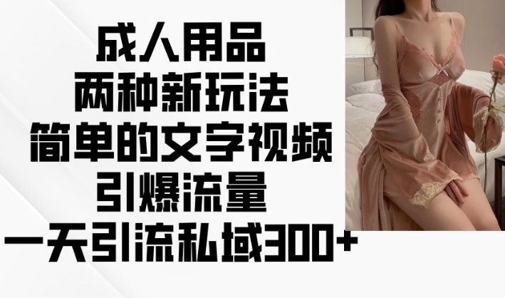 两性用品二种新模式，文字描述短视频引爆流量，一天引流方法公域300-中创网_专注互联网创业,项目资源整合