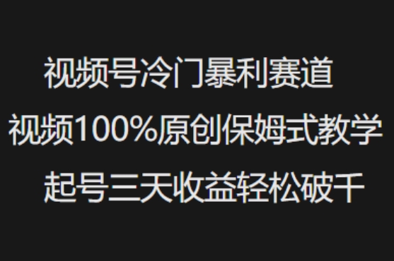 微信视频号小众爆利跑道短视频100%原创设计跟踪服务课堂教学养号三天盈利轻轻松松破千-中创网_专注互联网创业,项目资源整合