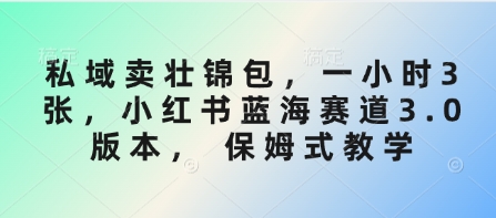 公域卖壮锦包，一小时3张，小红书的瀚海跑道3.0版本号， 跟踪服务课堂教学-中创网_专注互联网创业,项目资源整合