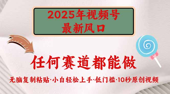 （14453期）2025年微信视频号新蓝海，门槛较低只需没脑子实行-中创网_专注互联网创业,项目资源整合