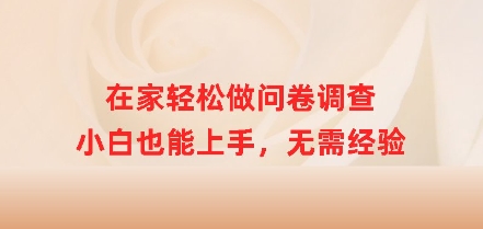 在家里轻轻松松做问卷调查，新手也可以入门，无需经验-中创网_专注互联网创业,项目资源整合