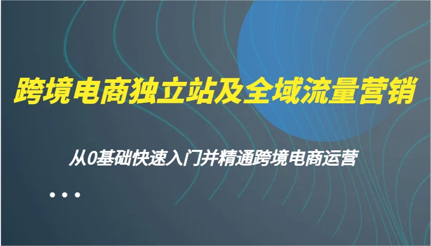 跨境电商电商独立站及全域流量营销推广，从0根本快速上手并熟练跨境电商运营-番茄副业网