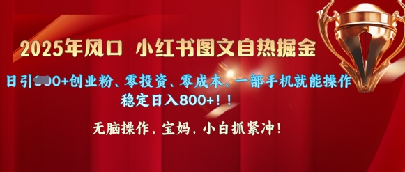 25年出风口小红书的图文并茂掘金队，日引300 自主创业粉、零投资、零成本、一部手机就能实际操作-番茄副业网