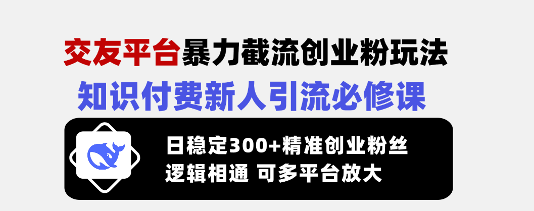（14432期）交友网站暴力行为截留自主创业粉游戏玩法，社交电商新手引流方法必修课程，日平稳300 精确…-番茄副业网