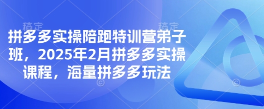 拼多多平台实际操作陪跑夏令营弟子班，2025年2月拼多多平台实操课程，大量拼多多平台游戏玩法-中创网_专注互联网创业,项目资源整合