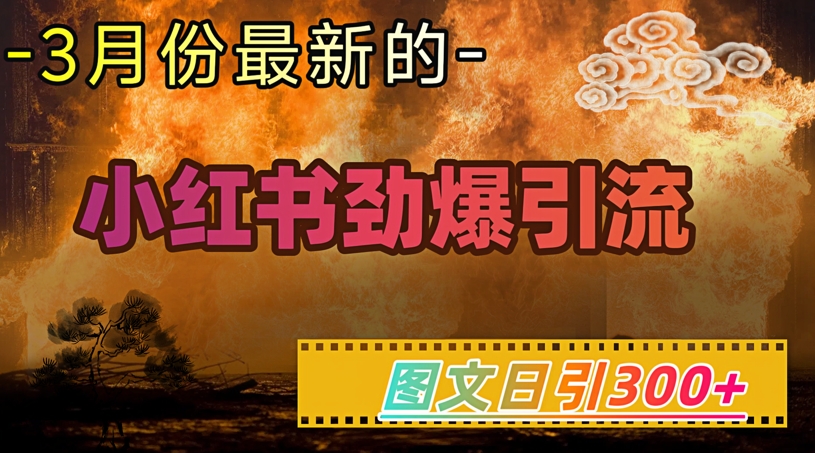 小红书的超劲爆引流方法方式，图文并茂日引300 轻轻松松转现1W-中创网_专注互联网创业,项目资源整合