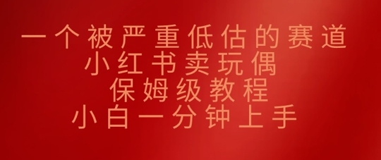 一个被严重低估的赛道，小红书的卖公仔，家庭保姆级实例教程，小白一min入门-中创网_专注互联网创业,项目资源整合