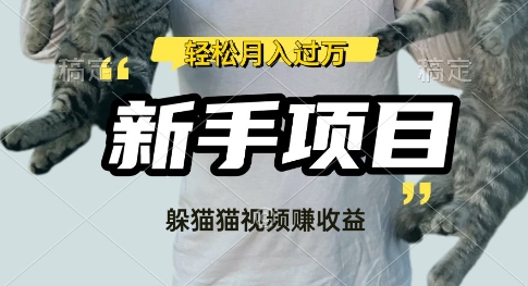 运用外国人捉迷藏比赛短视频，挣分为盈利，使用方便，新手入门，轻轻松松月入了W-中创网_专注互联网创业,项目资源整合