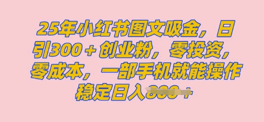 2025年小红书的自主创业粉图文并茂自然实例教程，日 300自主创业粉，单日转现好几张，没脑子实际操作，宝妈妈，新手赶紧冲-中创网_专注互联网创业,项目资源整合