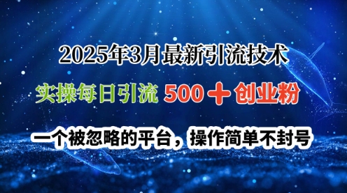 2025年3月全新引流技术，实际操作每日引流方法500 自主创业粉，一个被忽视服务平台，使用方便防封号-中创网_专注互联网创业,项目资源整合