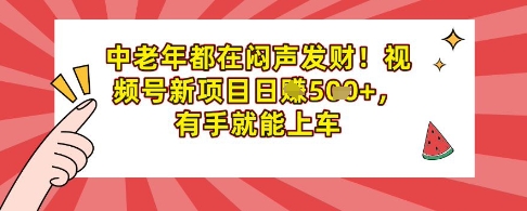 中老年人都是在闷声发财，微信视频号最新项目日入好几张，两双手就可进入车内-中创网_专注互联网创业,项目资源整合