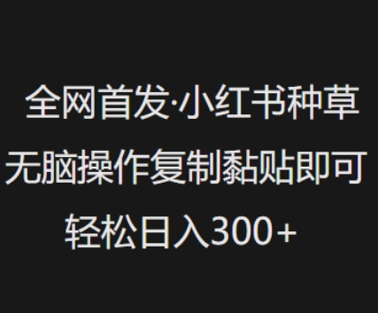 独家首发，小红书种草没脑子实际操作，拷贝粘贴就可以，轻轻松松日入3张-中创网_专注互联网创业,项目资源整合