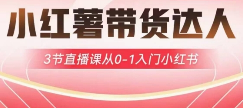 小红书主播带货启航计划，3节视频课堂从0-1新手入门小红书的-中创网_专注互联网创业,项目资源整合