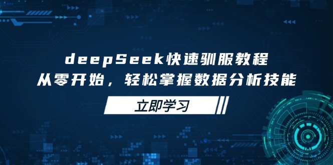 （14536期）deepSeek迅速收服实例教程，从零开始，快速掌握数据分析技能-中创网_专注互联网创业,项目资源整合