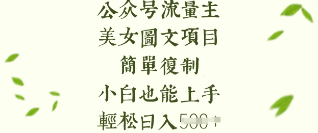 微信流量主长期收益新项目，美女照片简易拷贝，新手也可以入门，轻轻松松日入5张-番茄副业网