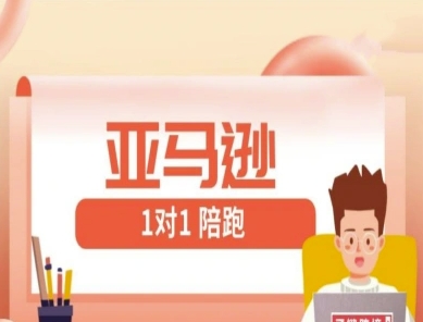 亚马逊平台1对1陪跑课(FBA/FBM精铺)跨境电商亚马逊平台实例教程-中创网_专注互联网创业,项目资源整合