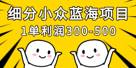 细分化冷门蓝海项目，一单利润3张，每月工作稳定过1w-中创网_专注互联网创业,项目资源整合