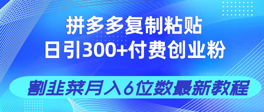 （14232期）拼多多复制粘贴日引300+付费创业粉，割韭菜月入6位数最新教程！-中创网_专注互联网创业,项目资源整合