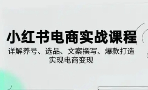 小红书从0-1实操课(2023-2025)，详解养号、选品、文案撰写、爆款打造实现电商变现-中创网_专注互联网创业,项目资源整合