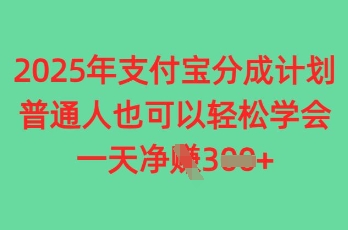 2025年支付宝钱包分为方案，平常人也可以快速掌握，一天盈利3张-中创网_专注互联网创业,项目资源整合