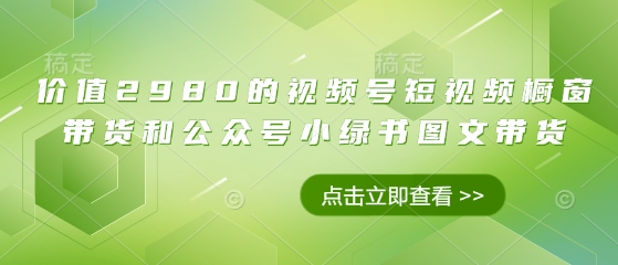 价值2980的视频号短视频橱窗带货和公众号小绿书图文带货-中创网_专注互联网创业,项目资源整合