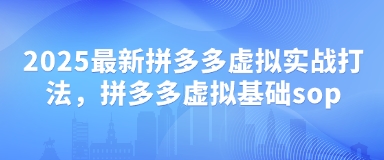 2025全新拼多多平台虚似实战演练玩法，拼多多平台虚似基本sop-中创网_专注互联网创业,项目资源整合