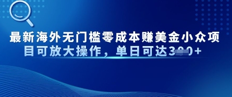 全新国外零门槛美元冷门新项目可变大实际操作，单日可以达到3张-中创网_专注互联网创业,项目资源整合