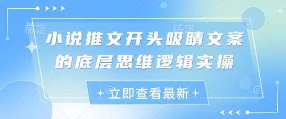 小说集推文开头引人注意文案的思维模式逻辑性实际操作-中创网_专注互联网创业,项目资源整合