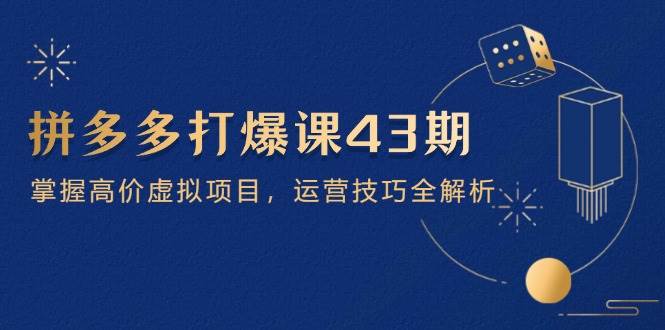拼多多平台打穿课第 43 期，把握高价位虚拟资源项目，运营方法全面解析（15节）-中创网_专注互联网创业,项目资源整合