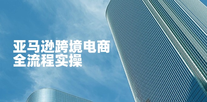 （14252期）亚马逊平台跨境电子商务全过程实际操作，教大家从零开始，把握店铺管理与广告方法-中创网_专注互联网创业,项目资源整合