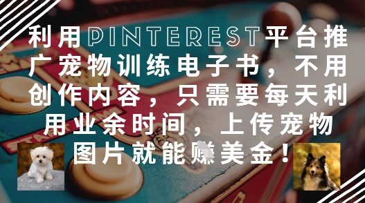 运用Pinterest产品推广宠物培训电子书籍，无需创作内容，只需要每天在业余时间，提交宠物图片就能赚美元!-中创网_专注互联网创业,项目资源整合